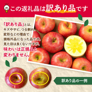 《先行受付》【2027年3月発送予定】 訳あり 家庭用サンふじ約10kg【大江町産・山形りんご・大地農産】