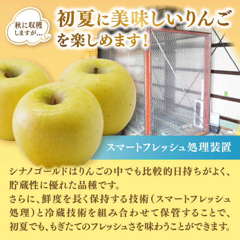 《先行受付》大江町産 りんご シナノゴールド約3kg  【2026年5月上旬頃～順次発送予定】