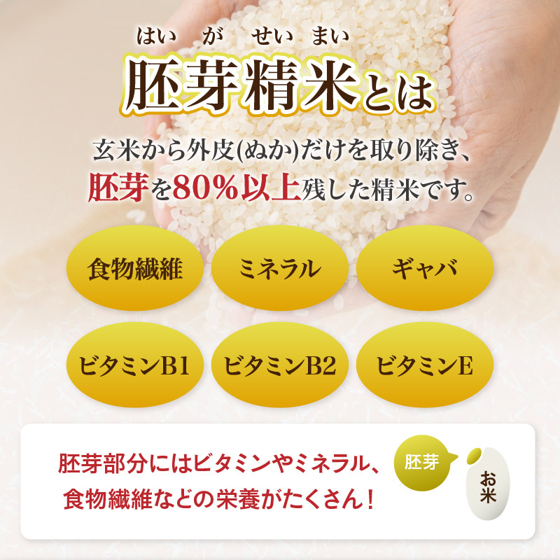 《3ヶ月定期便》山形県産 無洗米 令和7年産 はえぬき 胚芽精米 10kg(2kg×5袋)【山形県産 BG精米製法】