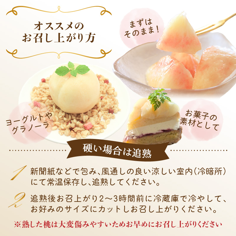 ≪先行受付≫ froSchがお届けするおまかせ白桃 約2kg 【2026年7月下旬より順次発送予定】