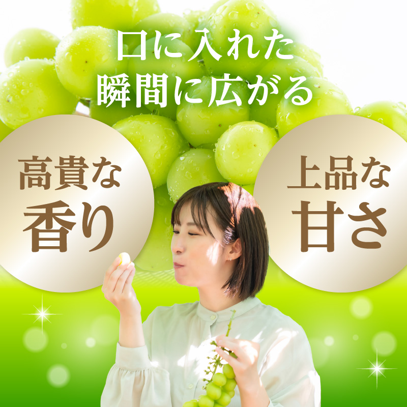 《先行受付》★山形産シャインマスカット★約700g以上(1～2房)秀品【2026年9月頃～順次発送予定】