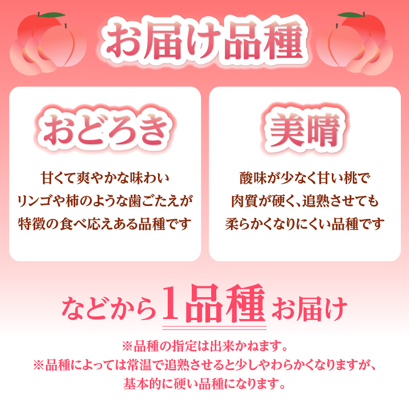《先行受付》★硬い白桃（品種おまかせ）★約3kg(6～12玉程度)秀品【2026年8月中旬頃～順次発送予定】