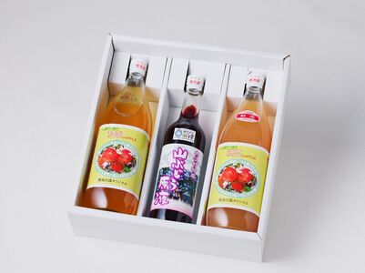 大江の恵　山ぶどう原液500ml紅玉・ふじ1Lジュースセット