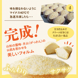 蝶谷の生パイ　20個セット