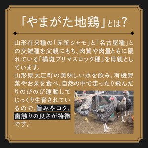 あてらZAWAカレー（やまがた地鶏手羽元1本入り） 4袋