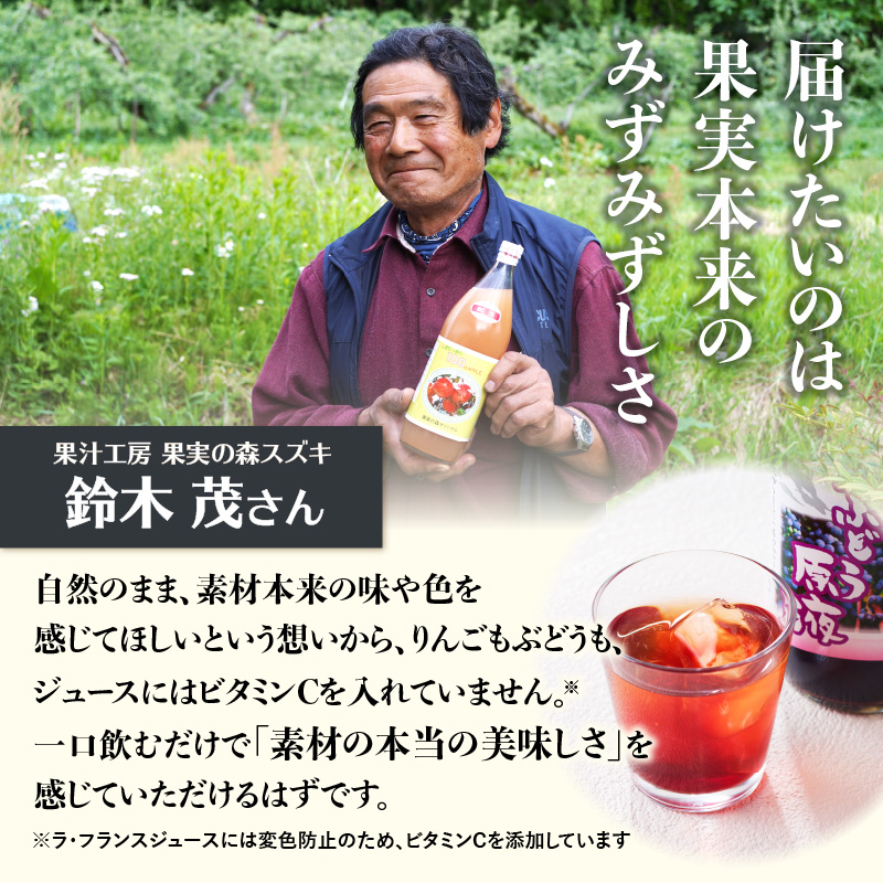 大江の恵6本ギフト山ブドウ原液・ラ・フランス・ぶどう・紅玉各1000ml）