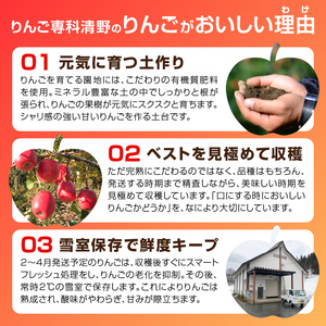 《先行受付》贈答規格 蜜入りこうとくりんご約3kg 特秀～秀【2026年11月上旬～発送予定】【大江町産・山形りんご・りんご専科 清野】