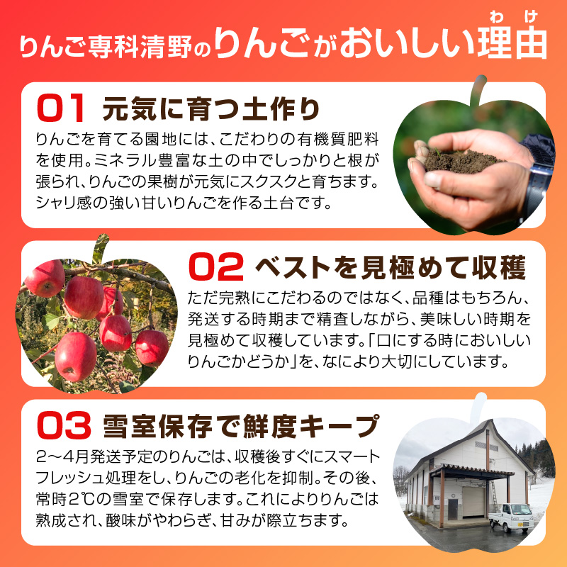  《先行受付》スリムレッドりんご 約2.5kg【2026年2月上旬頃～発送予定】【大江町産・山形りんご・りんご専科 清野】