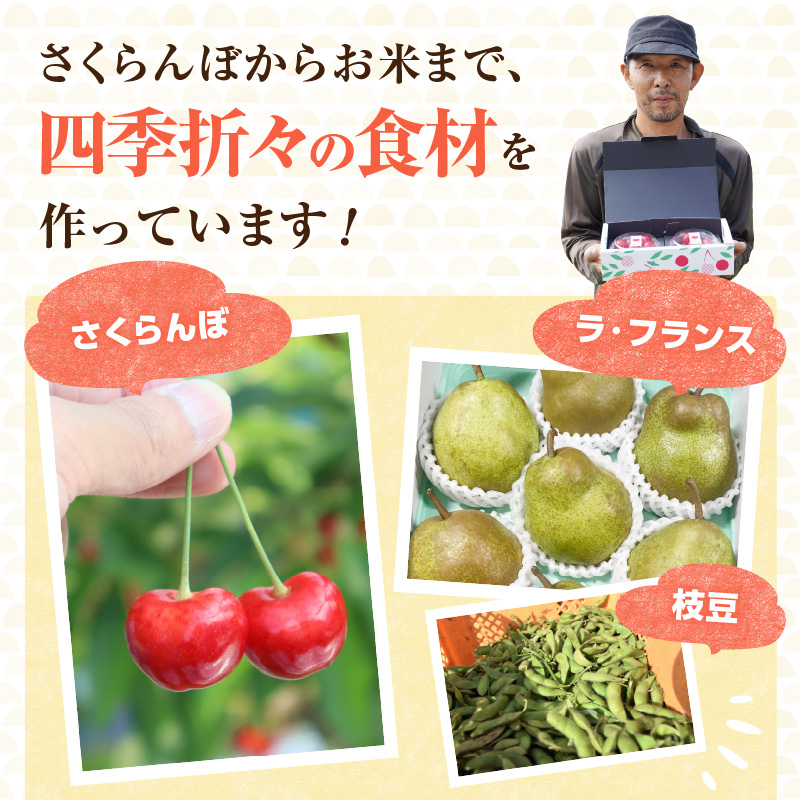 《先行受付》枝豆（味風香）約1kg【2026年7月下旬より順次発送予定】