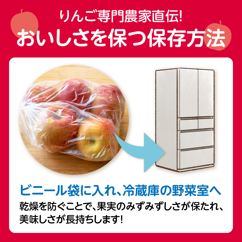 《先行受付》特別栽培 贈答規格サンふじ約5kg 【2026年12月中旬頃～発送予定】