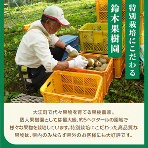 《先行受付》特別栽培 大玉 ラ・フランス 約3kg・秀品4L～3L  【2026年11月上旬頃～発送予定】