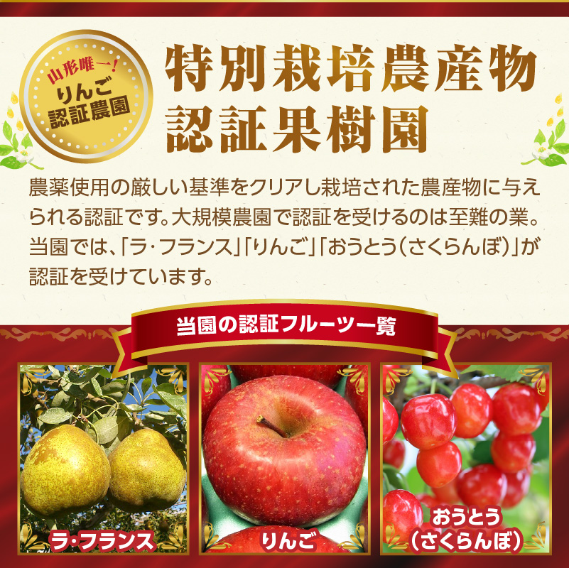 《先行受付》特別栽培 大玉 ラ・フランス 約5kg・秀品4L～3L 【2026年11月上旬頃～発送予定】