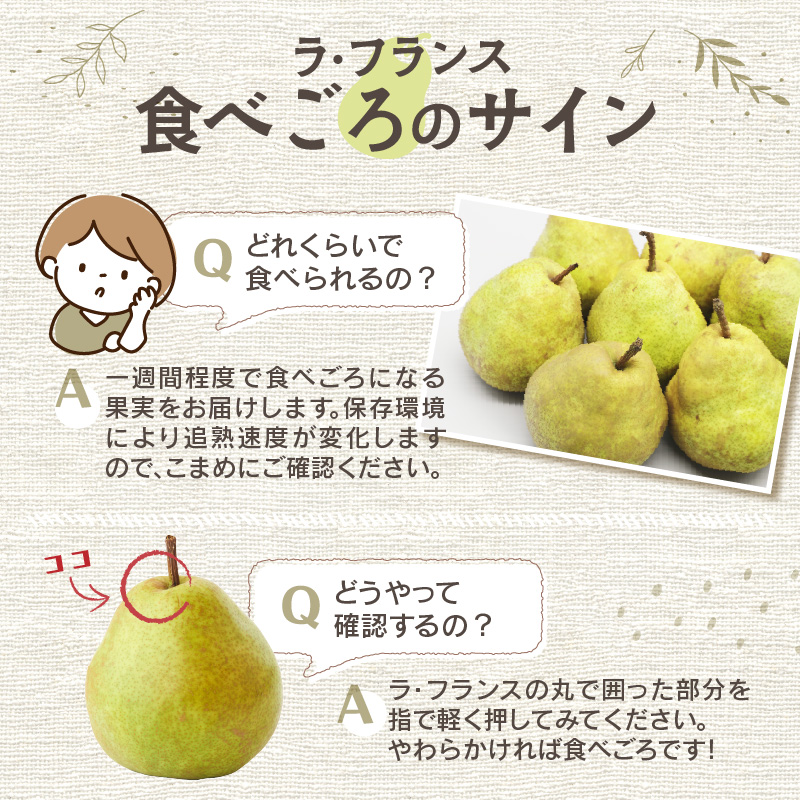 ≪先行受付≫ 特別栽培 大玉 ラ・フランス 約5kg 秀品4L～3L 【2027年1月より順次発送予定】