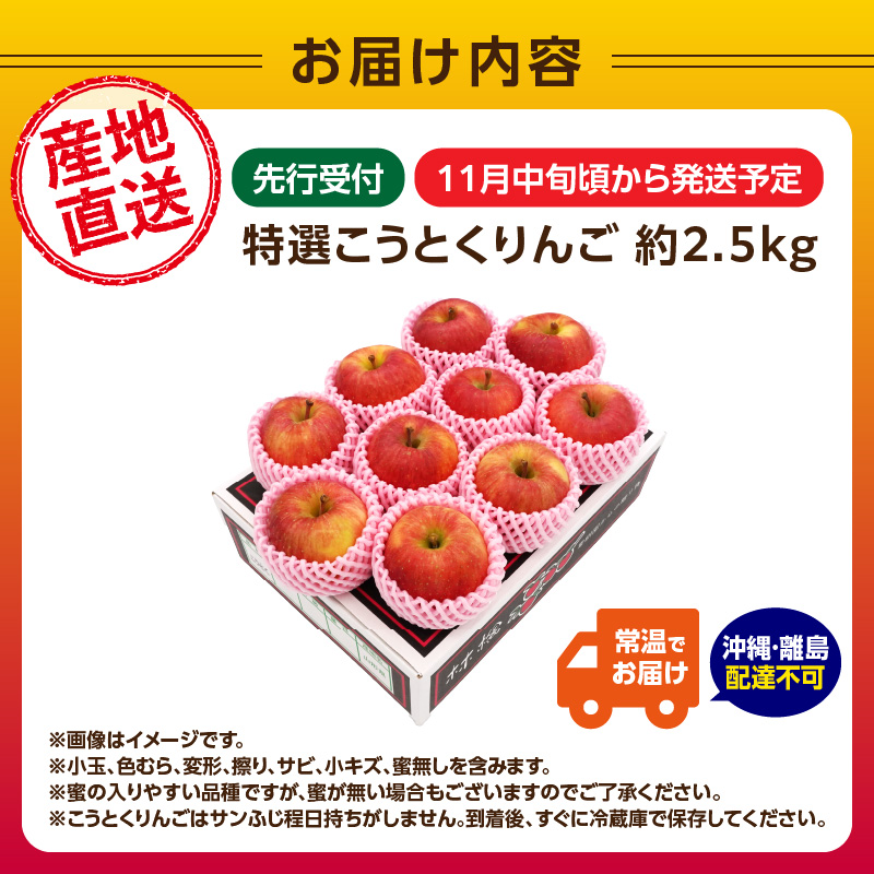 《先行受付》特選こうとくりんご約2.5kg 【2026年11月中旬頃～発送予定】【大江町産・山形りんご・大地農産・11月・12月】