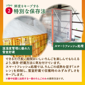 《先行受付》【2027年1月発送予定】 最高級 特選大玉サンふじ約3kg 【大江町産・山形りんご・大地農産】