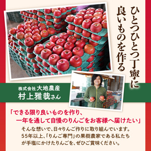 《先行受付》【2027年3月発送予定】 最高級 特選大玉サンふじ約3kg【大江町産・山形りんご・大地農産】