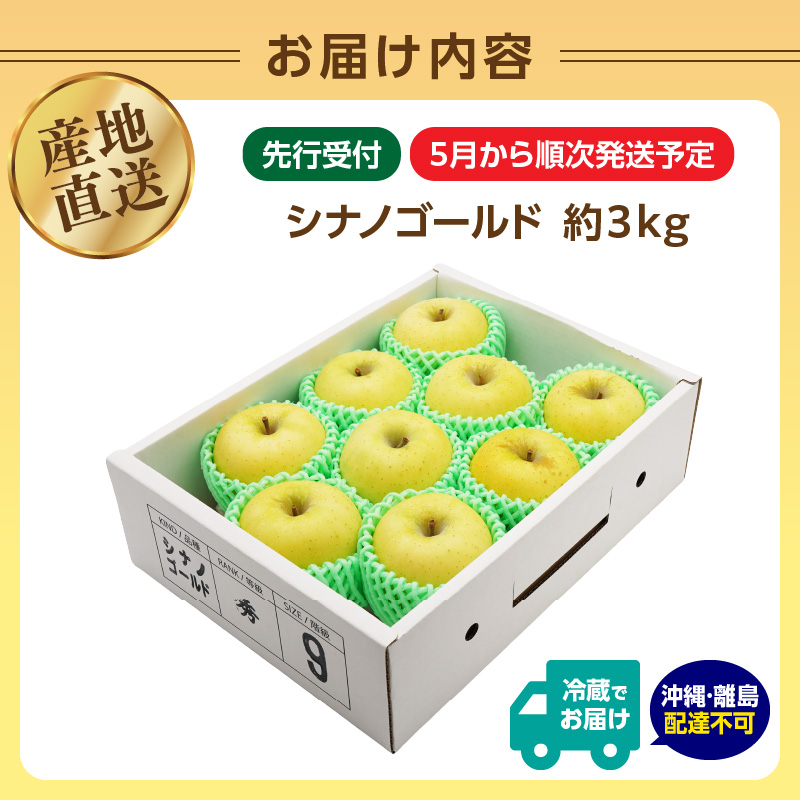 《先行受付》大江町産 りんご シナノゴールド約3kg  【2026年5月上旬頃～順次発送予定】