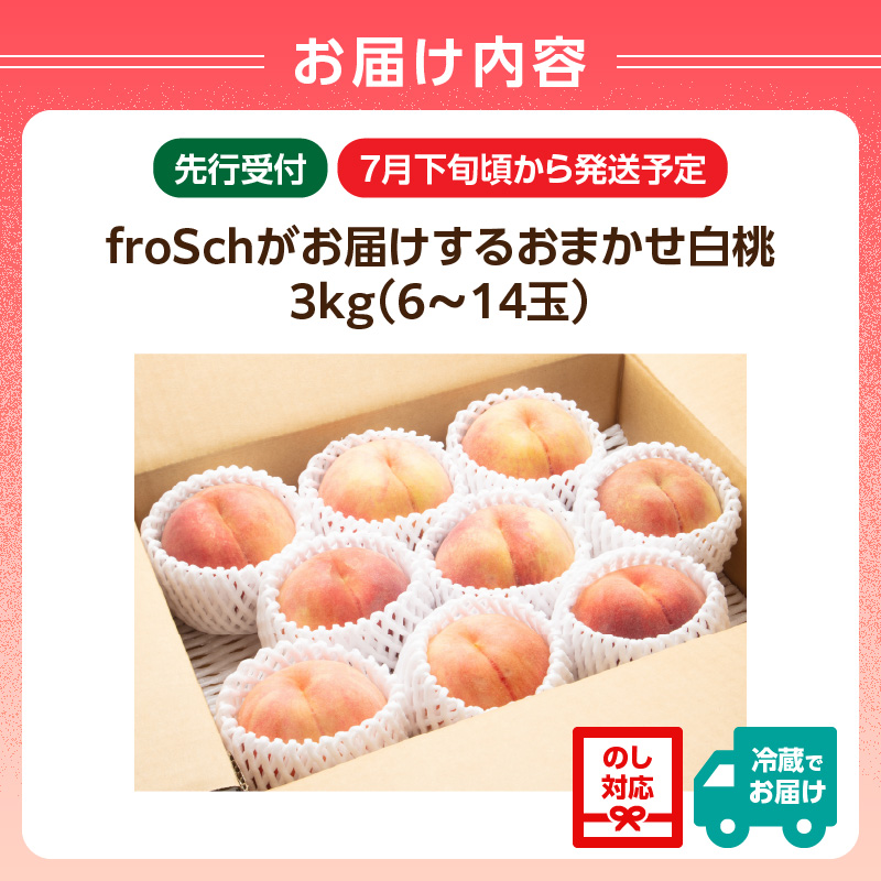 ≪先行受付≫ froSchがお届けするおまかせ白桃 約3kg 【2026年7月下旬より順次発送予定】
