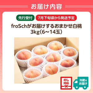 ≪先行受付≫ froSchがお届けするおまかせ白桃 約3kg 【2026年7月下旬より順次発送予定】