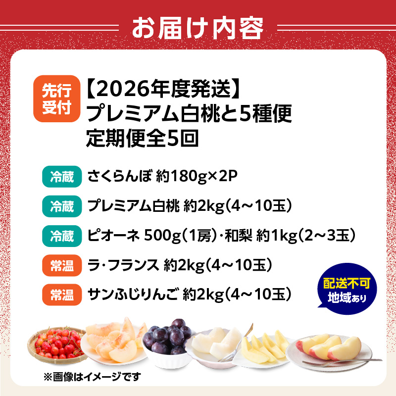 《先行受付》プレミアム白桃と5種便【定期便全5回】