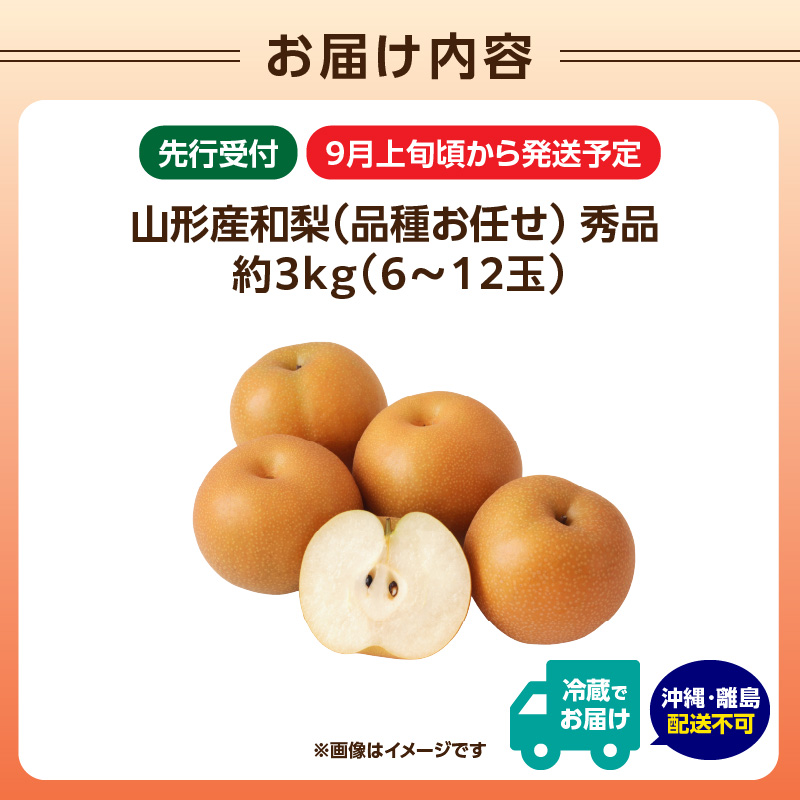 《先行受付》★山形産和梨（品種お任せ）★約3kg(6～12玉程度)秀品【2026年9月頃～順次発送予定】