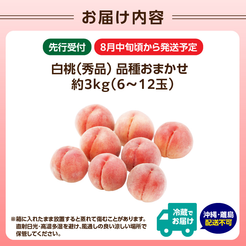 《先行受付》★硬い白桃（品種おまかせ）★約3kg(6～12玉程度)秀品【2026年8月中旬頃～順次発送予定】