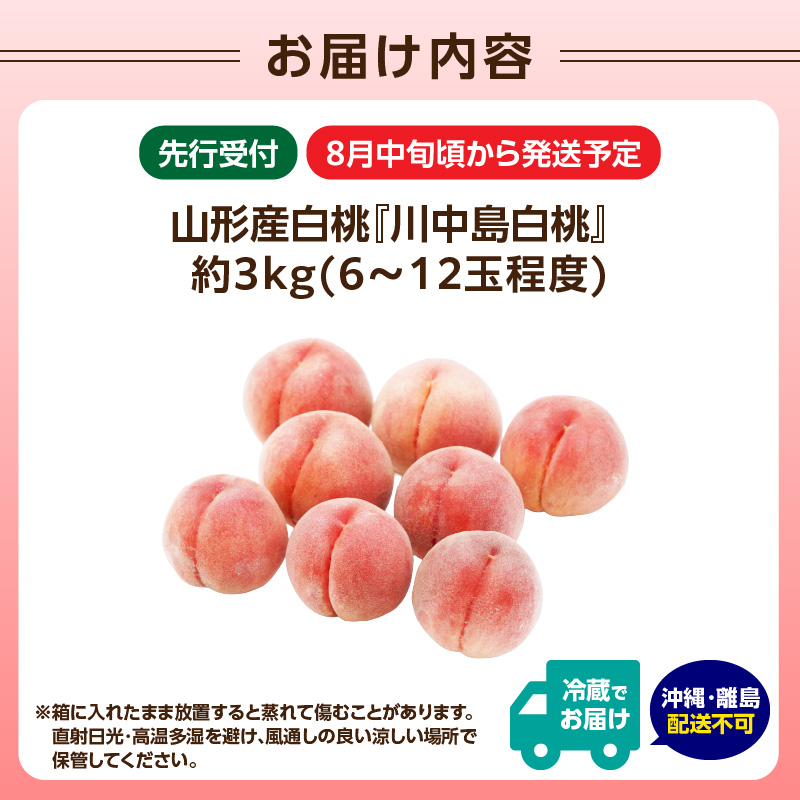 《先行受付》★山形産白桃『川中島白桃』★約3kg(6～12玉程度)秀品【2026年8月中旬頃～順次発送予定】