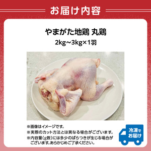 やまがた地鶏 丸鶏