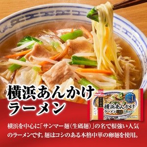 マルハニチロ 冷凍食品 あおり炒めの焼豚炒飯＆横浜あんかけラーメン詰合せセット
