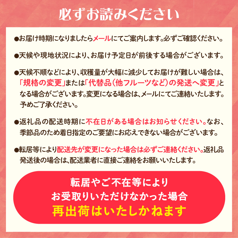 《先行受付》贈答規格 旬のりんご詰合せ約3kg（サンふじ確約3種以上）特秀～秀 大江町産【2026年12月上旬頃～発送予定】【大江町産・山形りんご・りんご専科 清野】