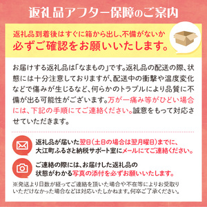《先行受付》 訳あり 早生ふじ約10kg（28～46玉）【2026年9月中旬～発送予定】【大江町産・山形りんご・りんご専科 清野】