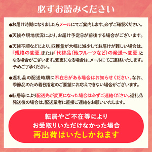 《先行受付》訳あり シナノスイート約10kg（28～46玉）【2026年10月中旬～発送予定】【大江町産・山形りんご・りんご専科 清野】