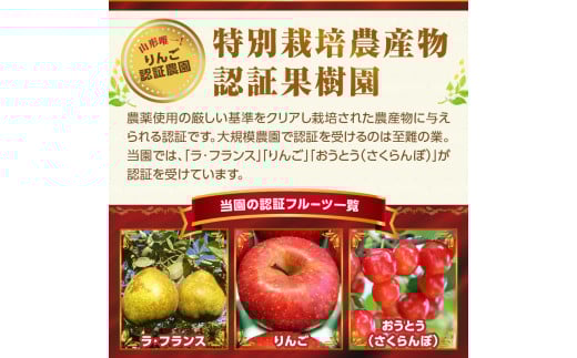《先行受付》特別栽培 大玉 ラ・フランス 約3kg・秀品4L～3L  【2026年11月上旬頃～発送予定】