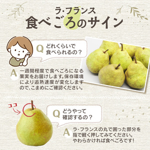 《先行受付》特別栽培 大玉 ラ・フランス 約5kg・秀品4L～3L 【2026年11月上旬頃～発送予定】