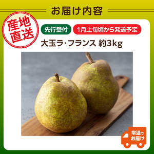 ≪先行受付≫特別栽培 大玉 ラ・フランス 約3kg 秀品4L～3L 【2027年1月より順次発送予定】