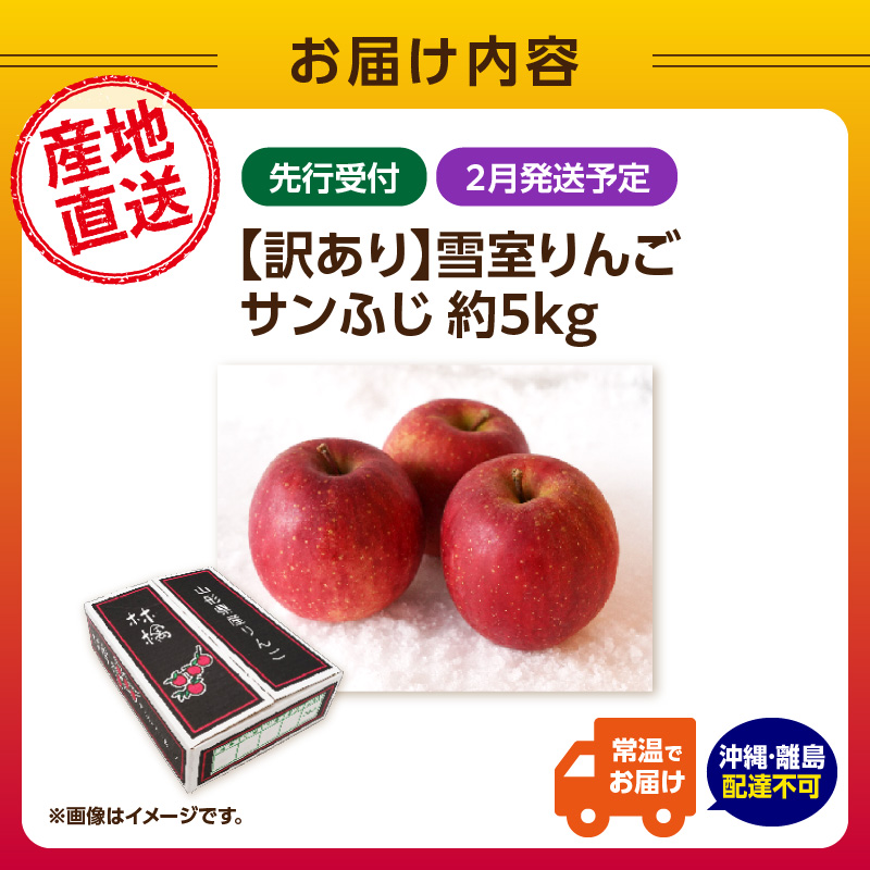 《先行受付》【2027年2月発送予定】 訳あり 雪室りんごサンふじ 約5kg【大江町産・山形りんご・大地農産】