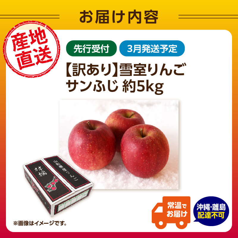 《先行受付》【2027年3月発送予定】 訳あり 雪室りんごサンふじ 約5kg【大江町産・山形りんご・大地農産】