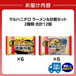 マルハニチロ 冷凍食品 あおり炒めの焼豚炒飯＆横浜あんかけラーメン詰合せセット