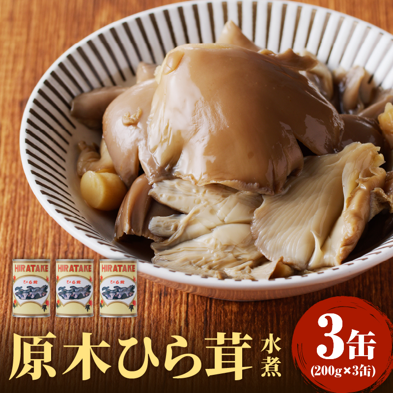 大江町柳川産 原木ひら茸水煮200g×3缶（固形量）
