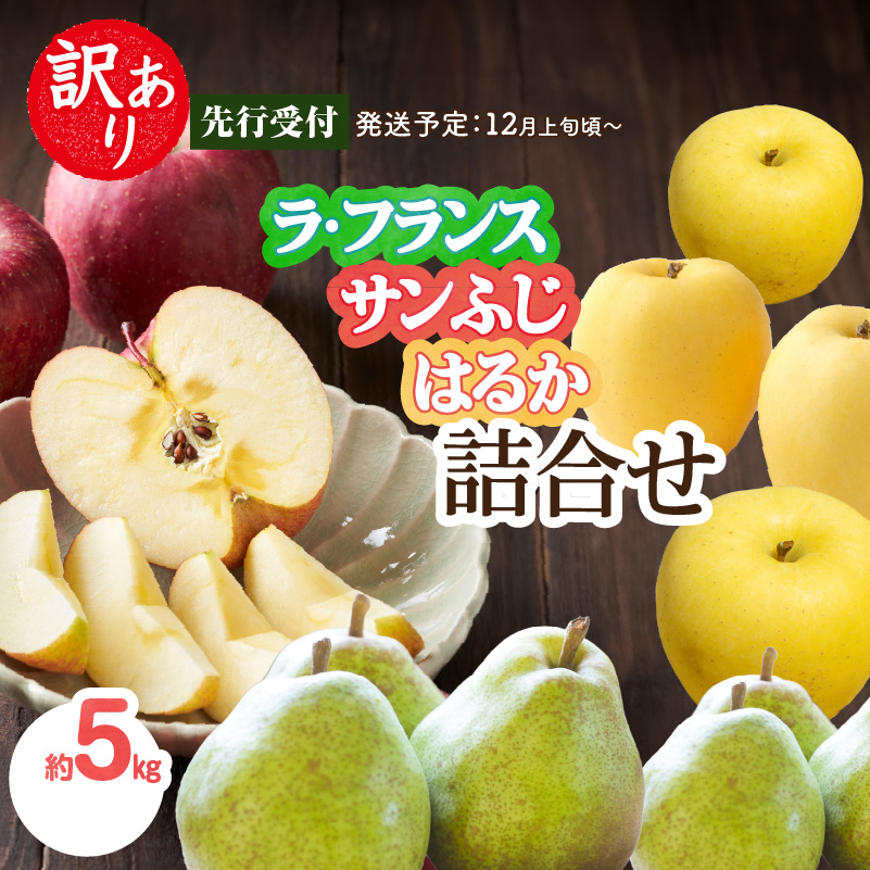 《先行受付》訳あり「ラ・フランス」「サンふじ」「はるか」約5kg詰合せ【2026年12月上旬～発送予定】【大江町産・山形りんご・りんご専科 清野】