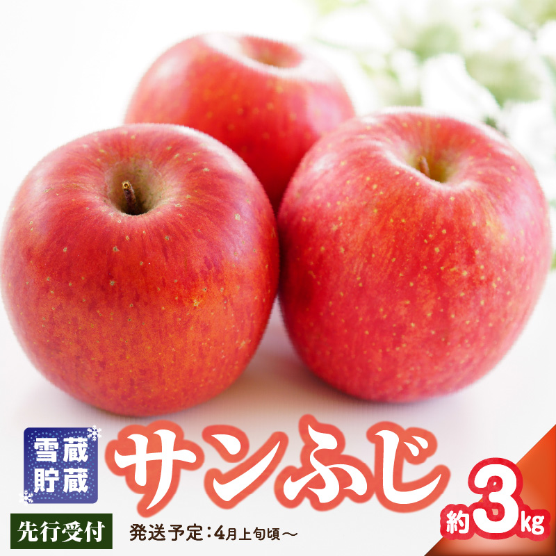 《先行受付》贈答規格 雪蔵貯蔵 サンふじ 約3kg【2026年4月上旬頃～発送予定】【大江町産・山形りんご・りんご専科 清野】
