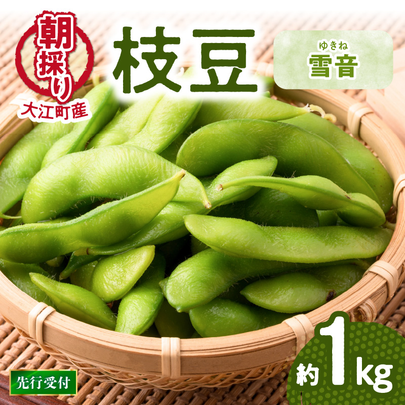 《先行受付》枝豆（雪音）約1kg【2026年8月末より順次発送予定】