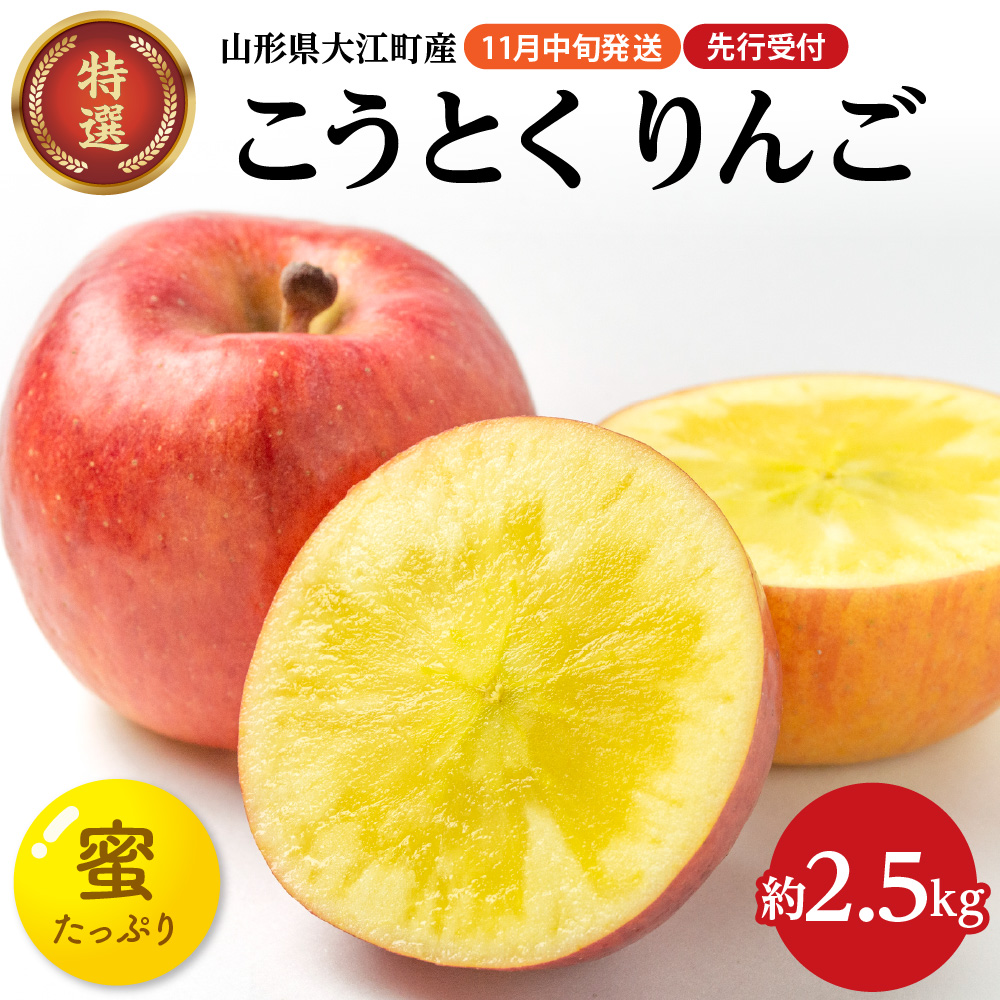  《先行受付》特選こうとくりんご約2.5kg 【2026年11月中旬頃～発送予定】【大江町産・山形りんご・大地農産・11月・12月】
