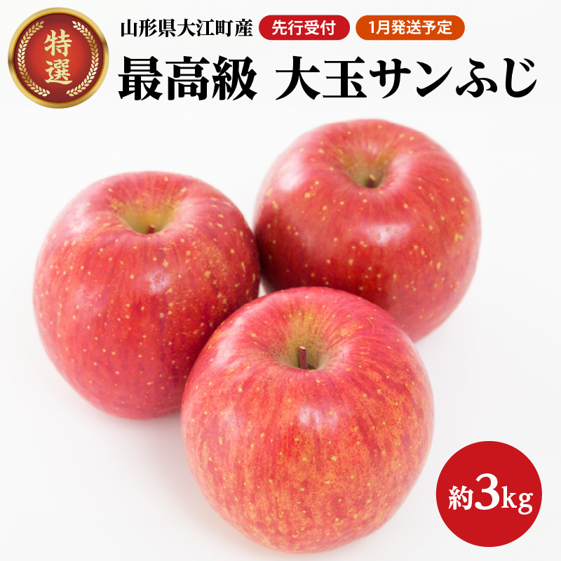 《先行受付》【2027年1月発送予定】 最高級 特選大玉サンふじ約3kg 【大江町産・山形りんご・大地農産】