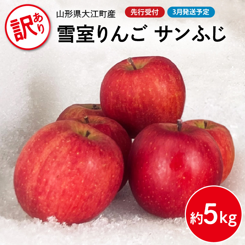 《先行受付》【2027年3月発送予定】 訳あり 雪室りんごサンふじ 約5kg【大江町産・山形りんご・大地農産】