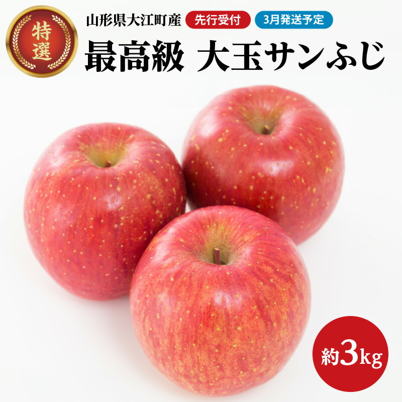 《先行受付》【2027年3月発送予定】 最高級 特選大玉サンふじ約3kg【大江町産・山形りんご・大地農産】