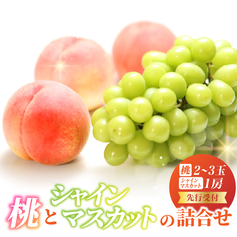 《先行受付》桃とシャインマスカットの詰合せ【2026年9月頃より順次発送予定】