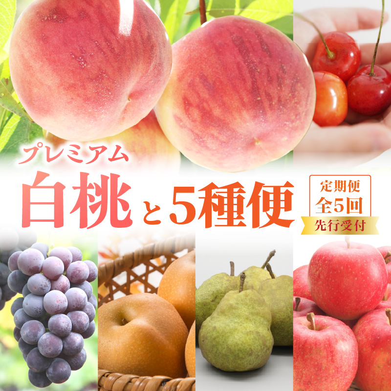 《先行受付》プレミアム白桃と5種便【定期便全5回】