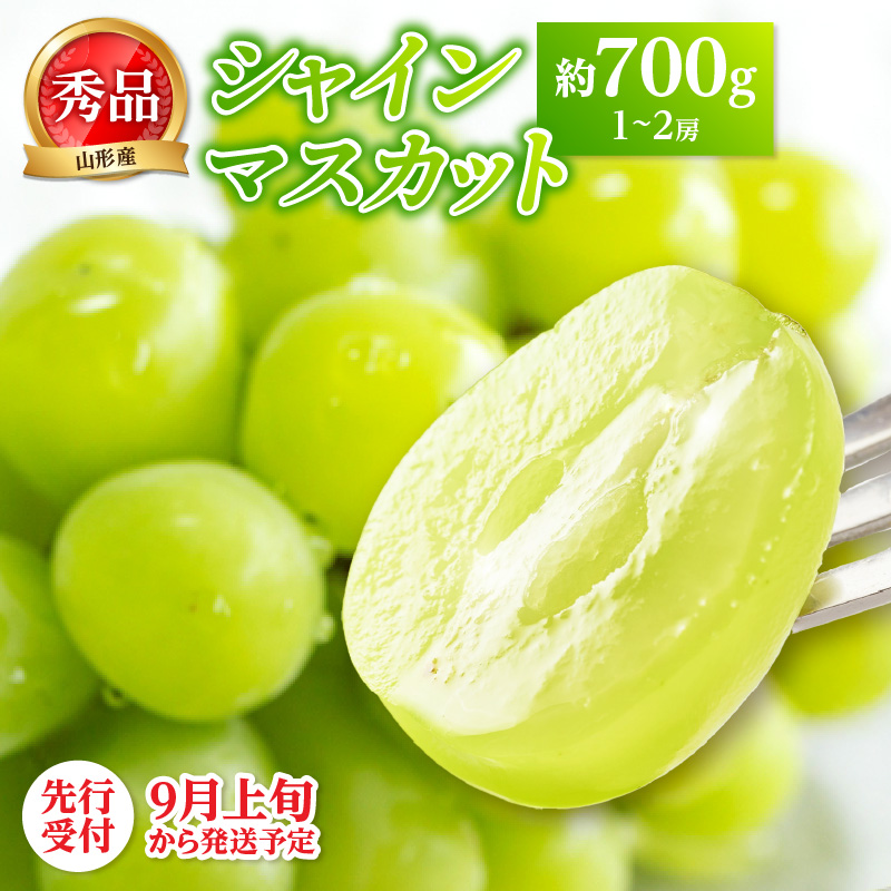 《先行受付》★山形産シャインマスカット★約700g以上(1～2房)秀品【2026年9月頃～順次発送予定】