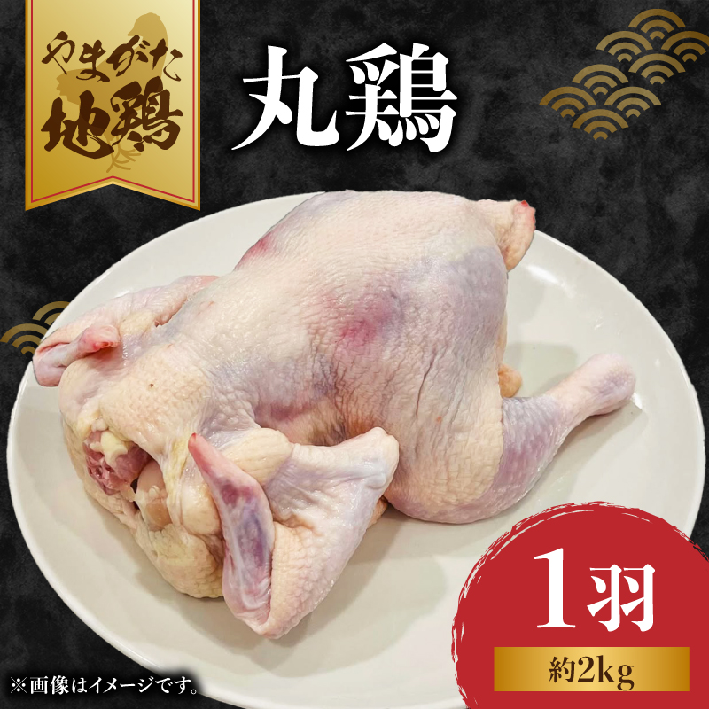 やまがた地鶏 丸鶏